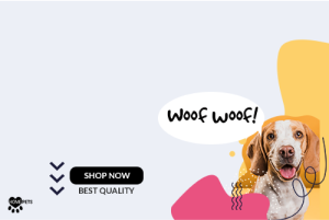 Point & Shoot Camera